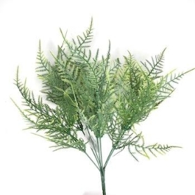 Green Asparagus Fern Bush 34cm