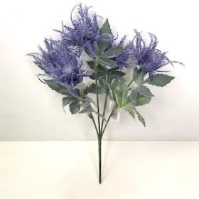 Blue Thistle Bush 32cm