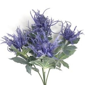 Blue Thistle Bush 32cm