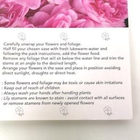 Pink Peony Folding Card x 25