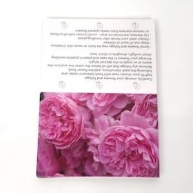 Pink Peony Folding Card x 25