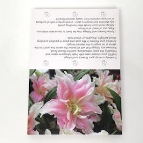 Pink Lily Folding Card x 25