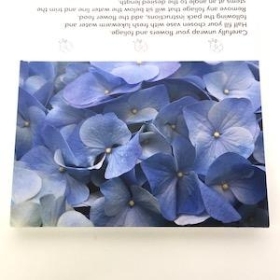 Blue Hydrangea Folding Card x 25