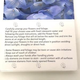 Blue Hydrangea Folding Card x 25