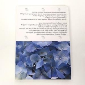 Blue Hydrangea Folding Card x 25