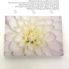 Ivory Chrysanthemum Folding Card x 25