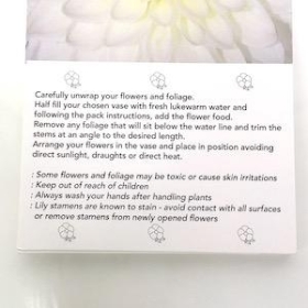 Ivory Chrysanthemum Folding Card x 25