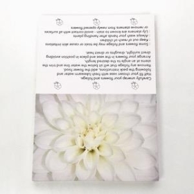 Ivory Chrysanthemum Folding Card x 25
