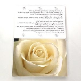 Cream Rose Folding Card x 25