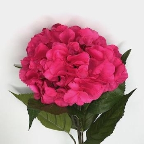 Dark Pink Hydrangea 63cm