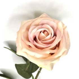 Blush Vintage Rose 72cm