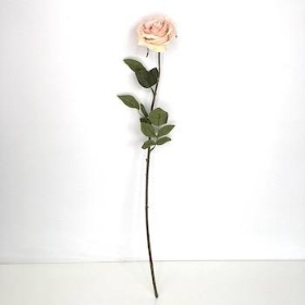 Blush Vintage Rose 72cm