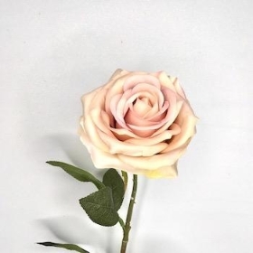Blush Vintage Rose 72cm