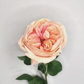 Peach Pink Garden Rose 53cm