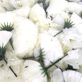 White Carnation Heads x 144