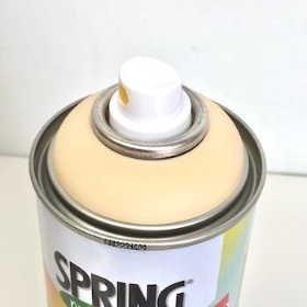 Champagne Flower Spray Paint 400ml