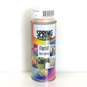 Champagne Flower Spray Paint 400ml