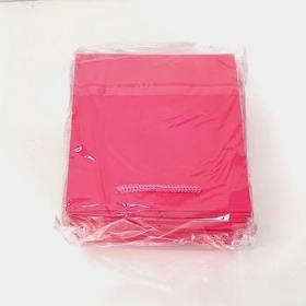 Hot Pink Olympic Hand Tie Bags x 10