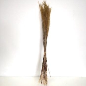 Dried Natural Ouro Grass 80cm
