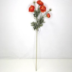 Orange Ranunculus 64cm