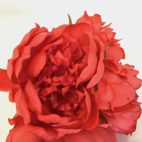 Coral Peony Bundle 25cm