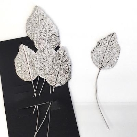 Silver Rose Leaf x 6