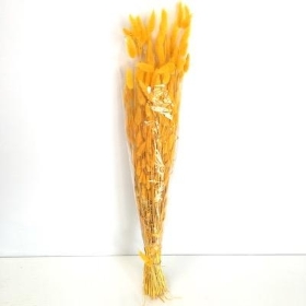 Dried Yellow Bunny Tails 60cm