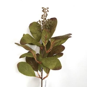 Green Brown Ficus Spray 37cm