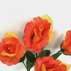 Orange Rose Bush 36cm