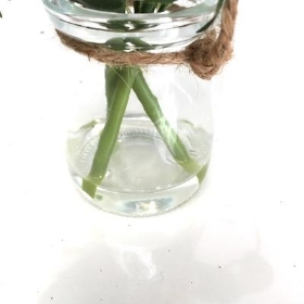 White Rose In Hanging Vase 12cm