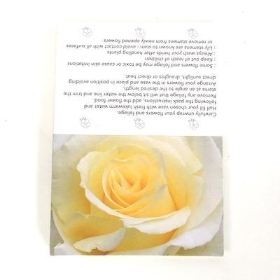 Red Rose And Petals Folding Card x 25