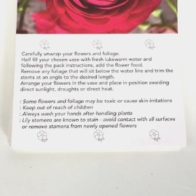 Deep Pink Rose Folding Card x 25