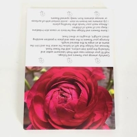 Deep Pink Rose Folding Card x 25