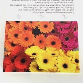 Mixed Colour Gerbera Folding Card x 25