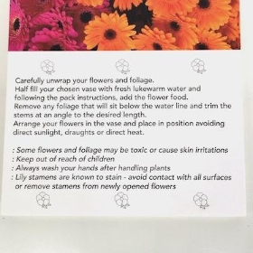 Mixed Colour Gerbera Folding Card x 25