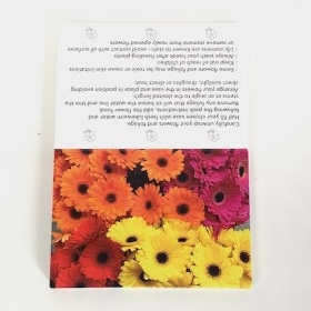 Mixed Colour Gerbera Folding Card x 25