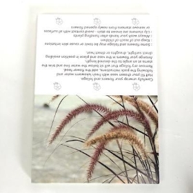 Pink Grasses Folding Card x 25