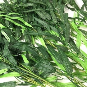 Green Willow Branch 120cm