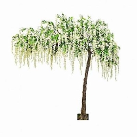Ivory Wisteria Canopy Tree 320cm