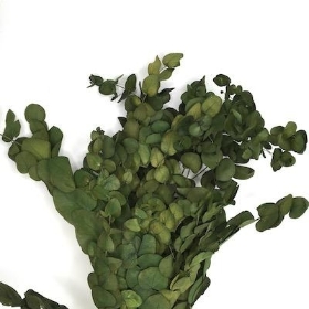Dried Vintage Green Eucalyptus 60cm