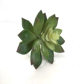 Artificial Green Stonecrop Succulent 14cm
