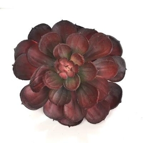 Artificial Red Succulent 14cm