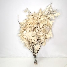 Dried Bleached Oak Leaf 70cm