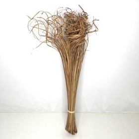 Dried Natural Ting Ting 60cm