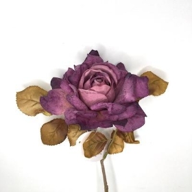 Purple Autumn Rose 62cm