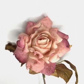 Pink Antique Rose 62cm