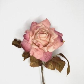 Pink Antique Rose 62cm