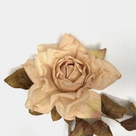 Dark Cream Autumn Rose 62cm