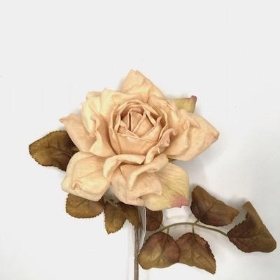 Dark Cream Autumn Rose 62cm