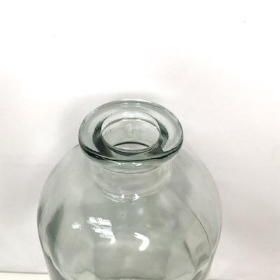 Clear Bottle Vase 25cm